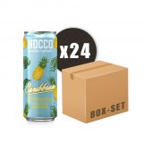 NOCCO BCAA能量飲料 (1箱24罐)